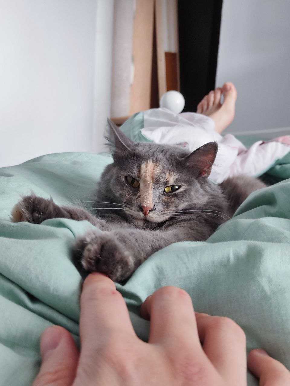 Дина